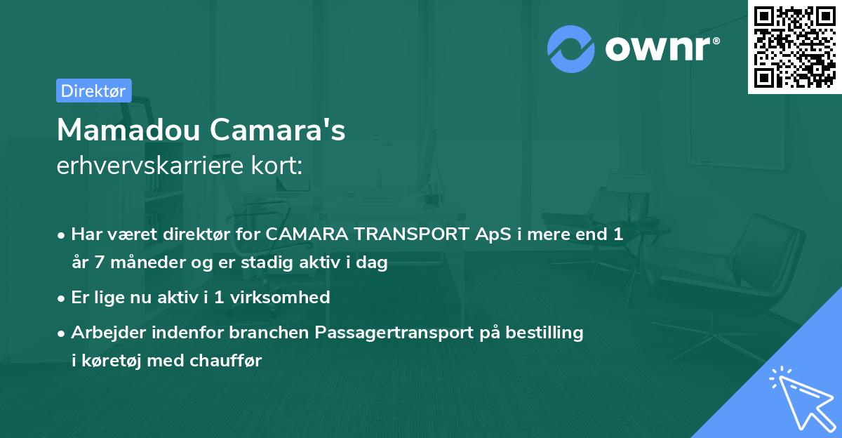 Mamadou Camara's erhvervskarriere kort