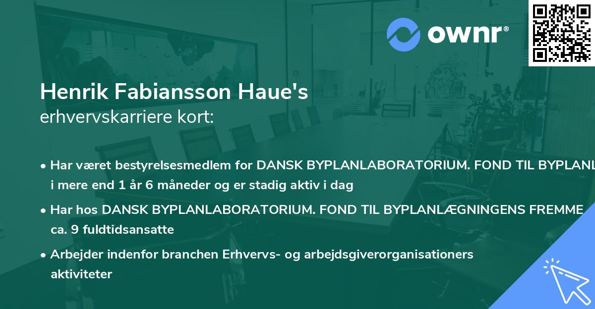 Henrik Fabiansson Haue's erhvervskarriere kort