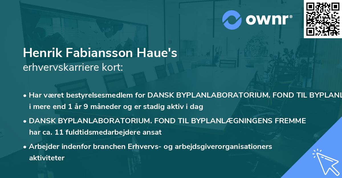 Henrik Fabiansson Haue's erhvervskarriere kort