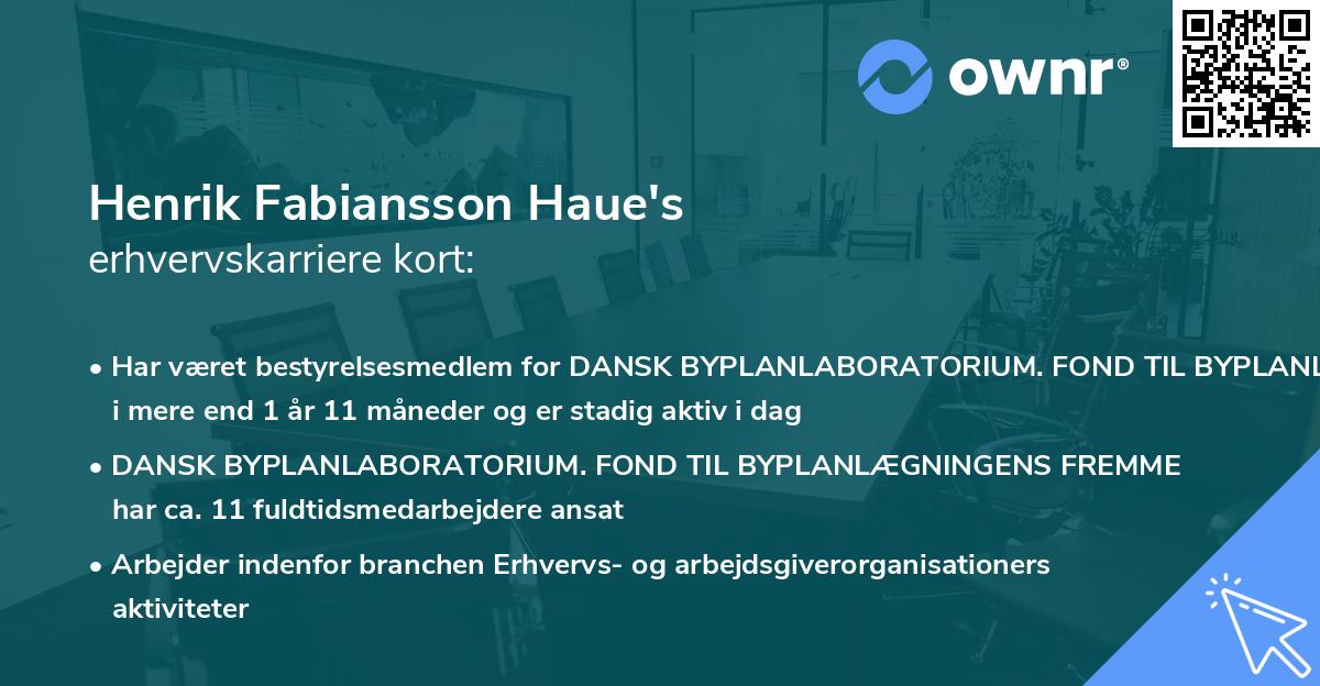Henrik Fabiansson Haue's erhvervskarriere kort