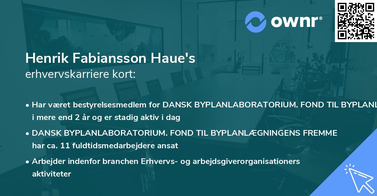 Henrik Fabiansson Haue's erhvervskarriere kort