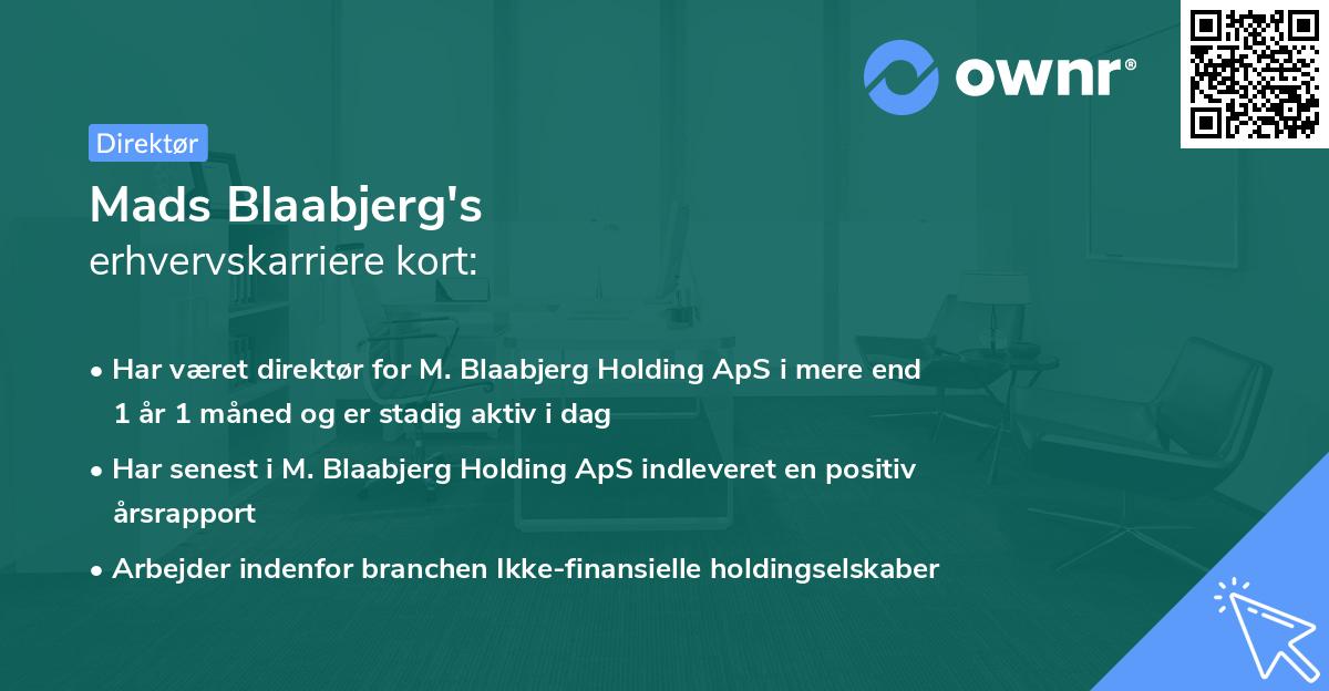 Mads Blaabjerg's erhvervskarriere kort