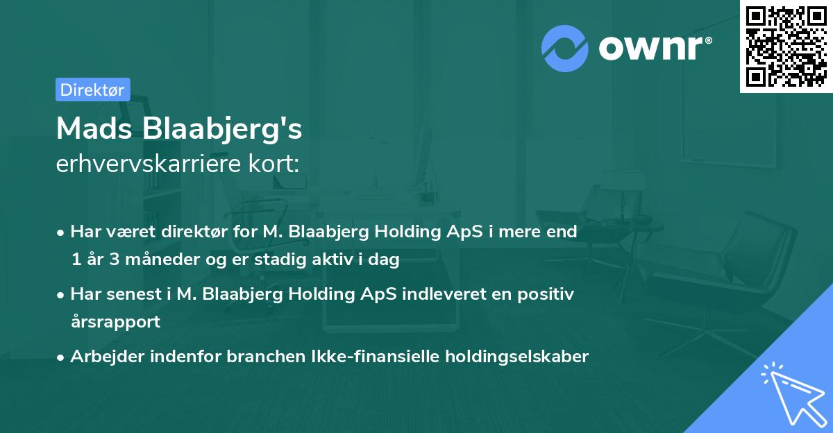 Mads Blaabjerg's erhvervskarriere kort