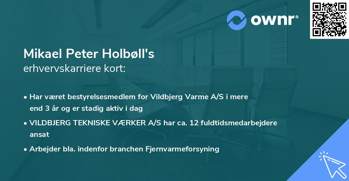 Mikael Peter Holbøll's erhvervskarriere kort