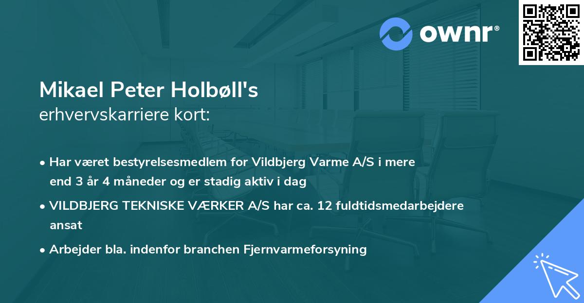 Mikael Peter Holbøll's erhvervskarriere kort