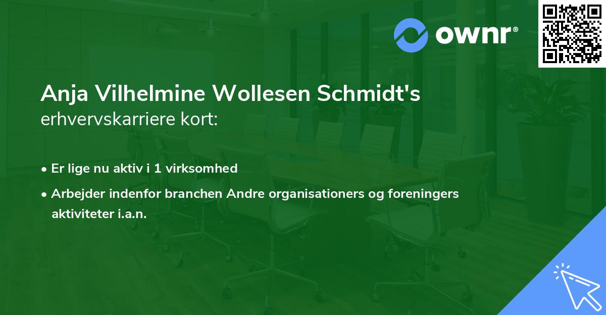 Anja Vilhelmine Wollesen Schmidt's erhvervskarriere kort