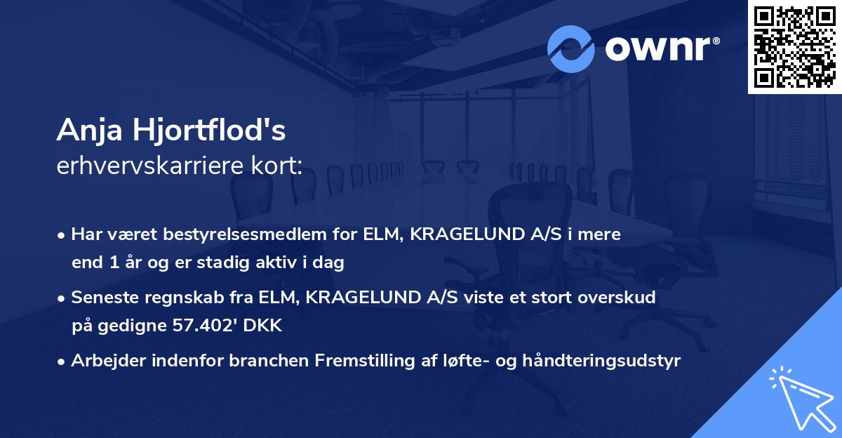 Anja Hjortflod's erhvervskarriere kort