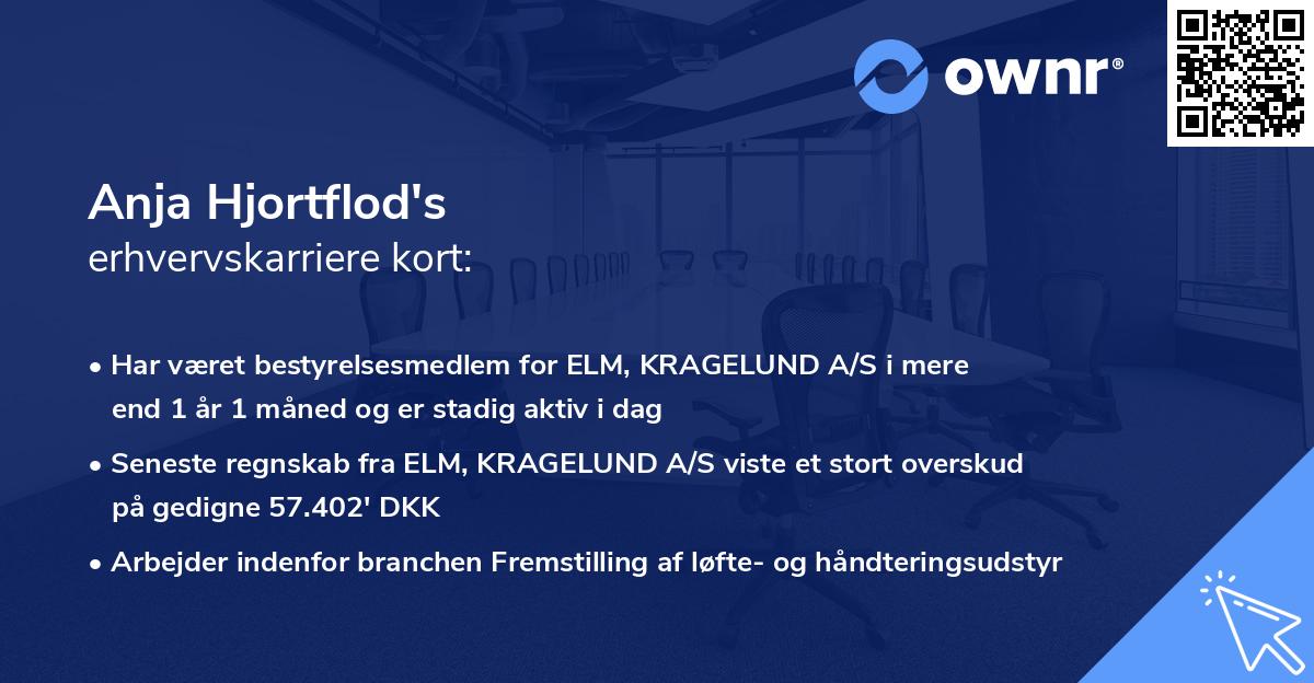 Anja Hjortflod's erhvervskarriere kort