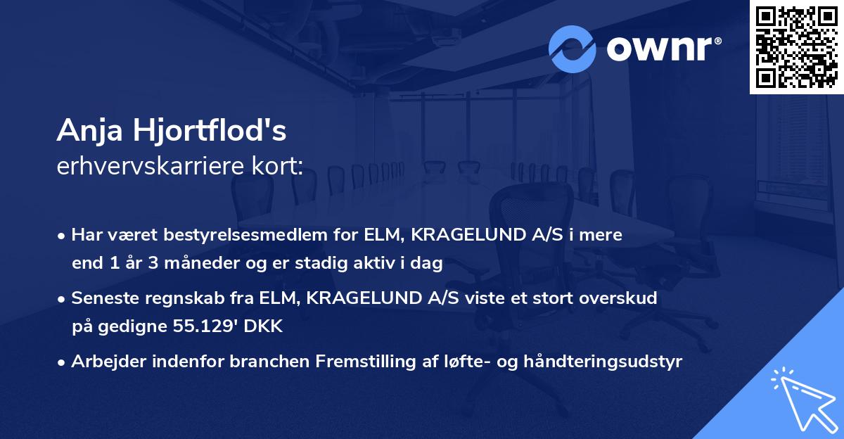 Anja Hjortflod's erhvervskarriere kort