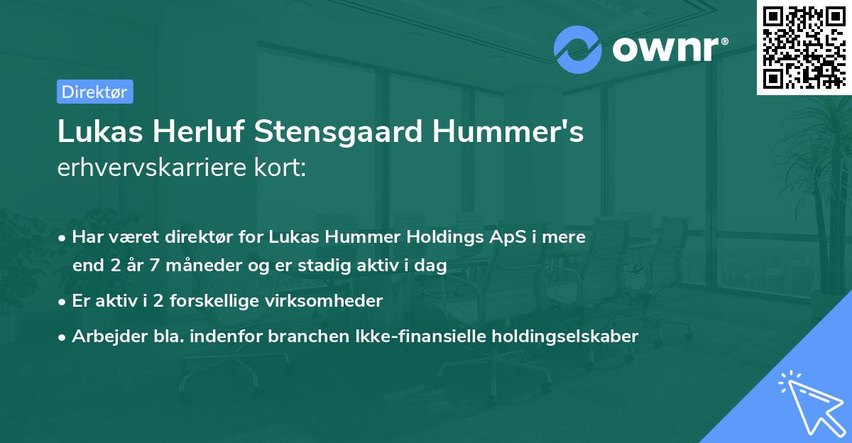 Lukas Herluf Stensgaard Hummer's erhvervskarriere kort