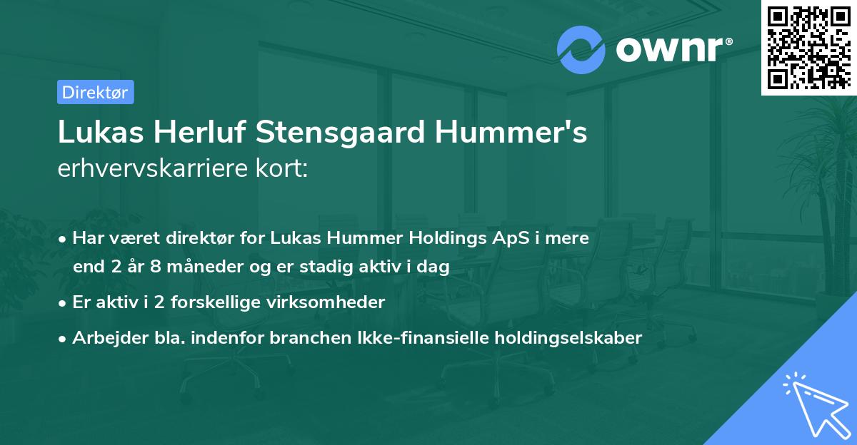 Lukas Herluf Stensgaard Hummer's erhvervskarriere kort