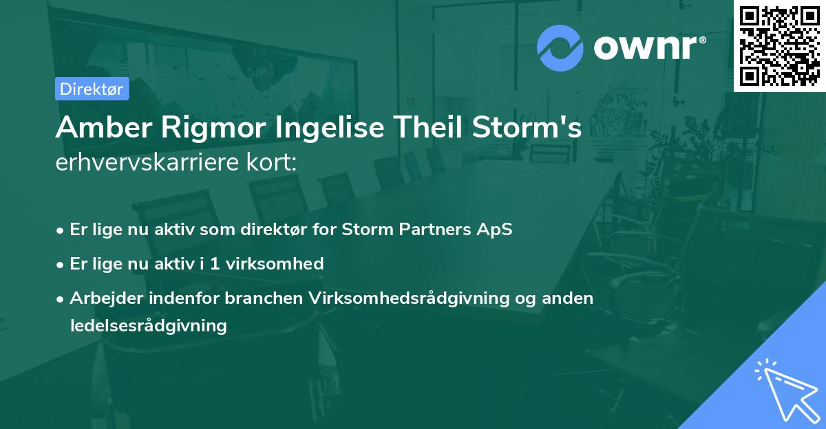 Amber Rigmor Ingelise Theil Storm's erhvervskarriere kort