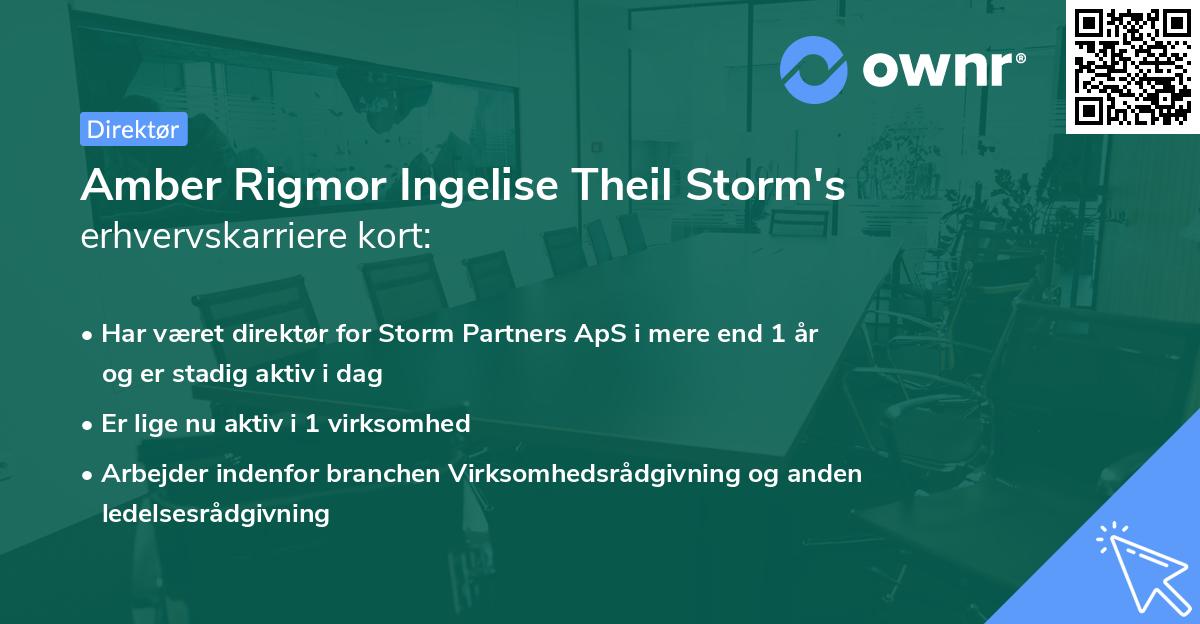 Amber Rigmor Ingelise Theil Storm's erhvervskarriere kort