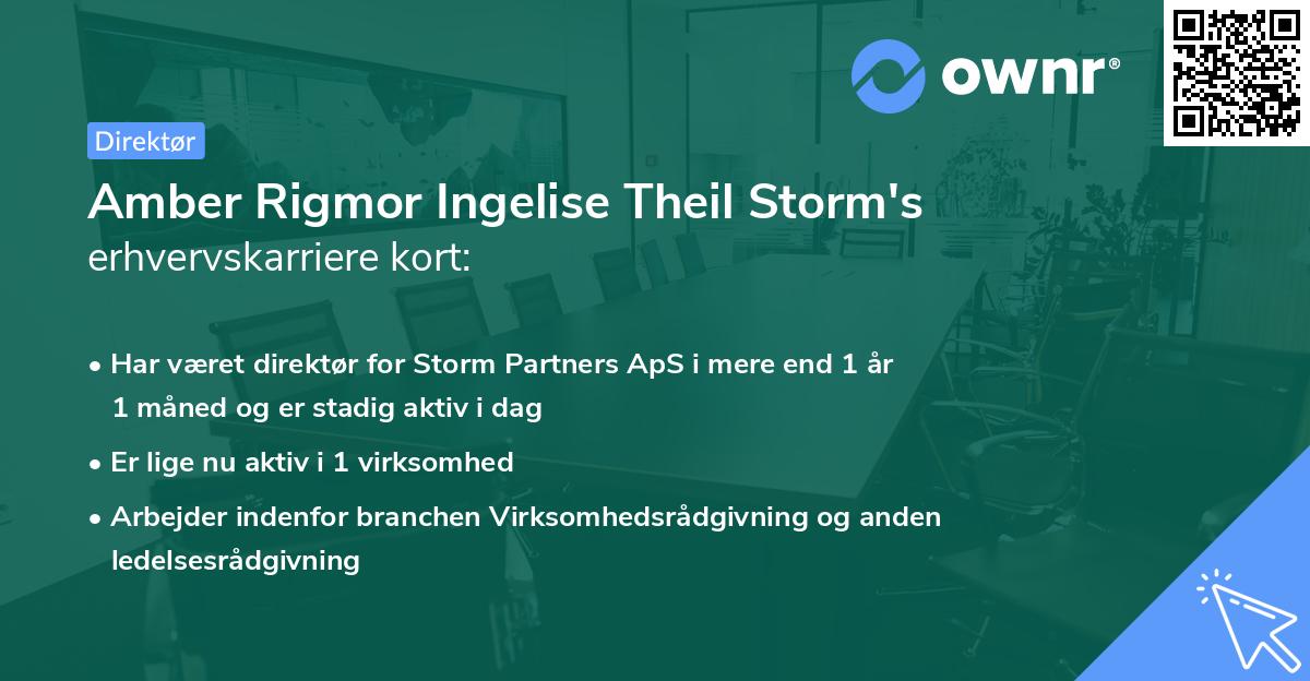Amber Rigmor Ingelise Theil Storm's erhvervskarriere kort