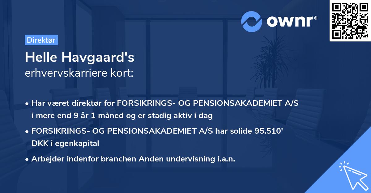 Helle Havgaard's erhvervskarriere kort