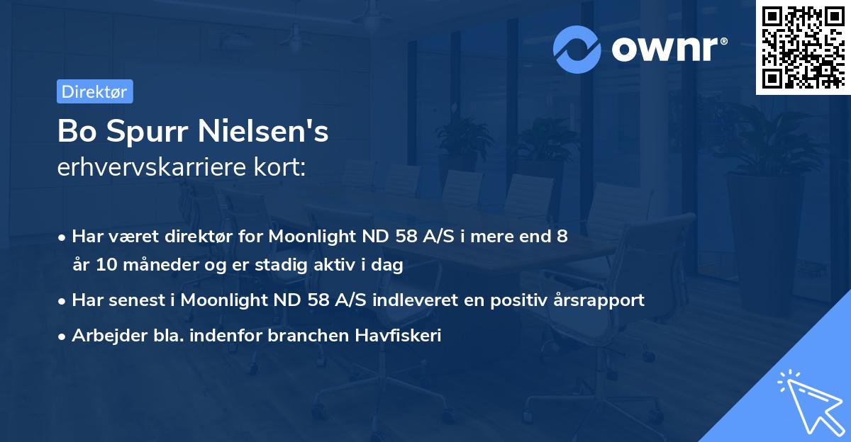 Bo Spurr Nielsen's erhvervskarriere kort