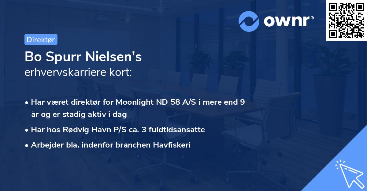 Bo Spurr Nielsen's erhvervskarriere kort