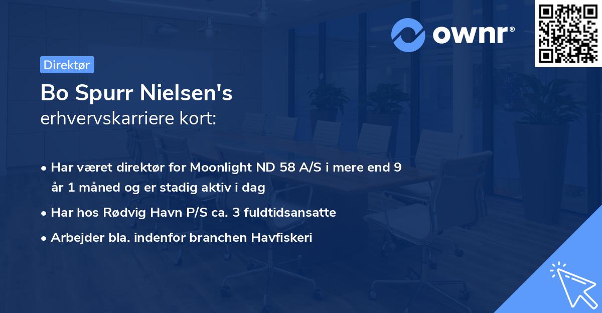 Bo Spurr Nielsen's erhvervskarriere kort