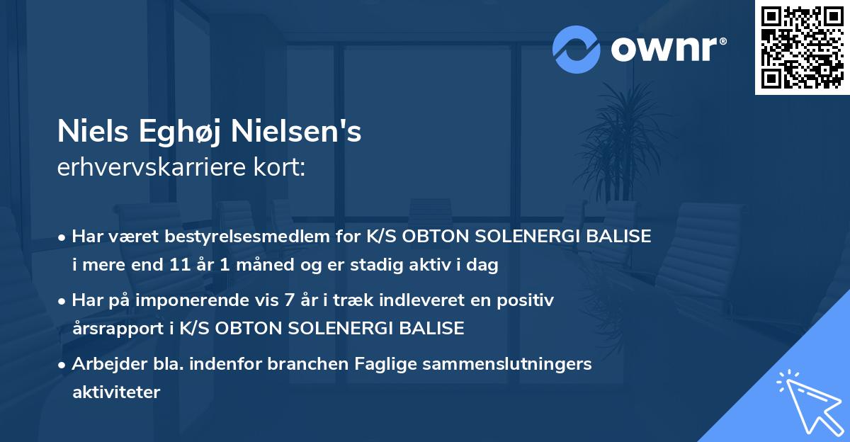 Niels Eghøj Nielsen's erhvervskarriere kort