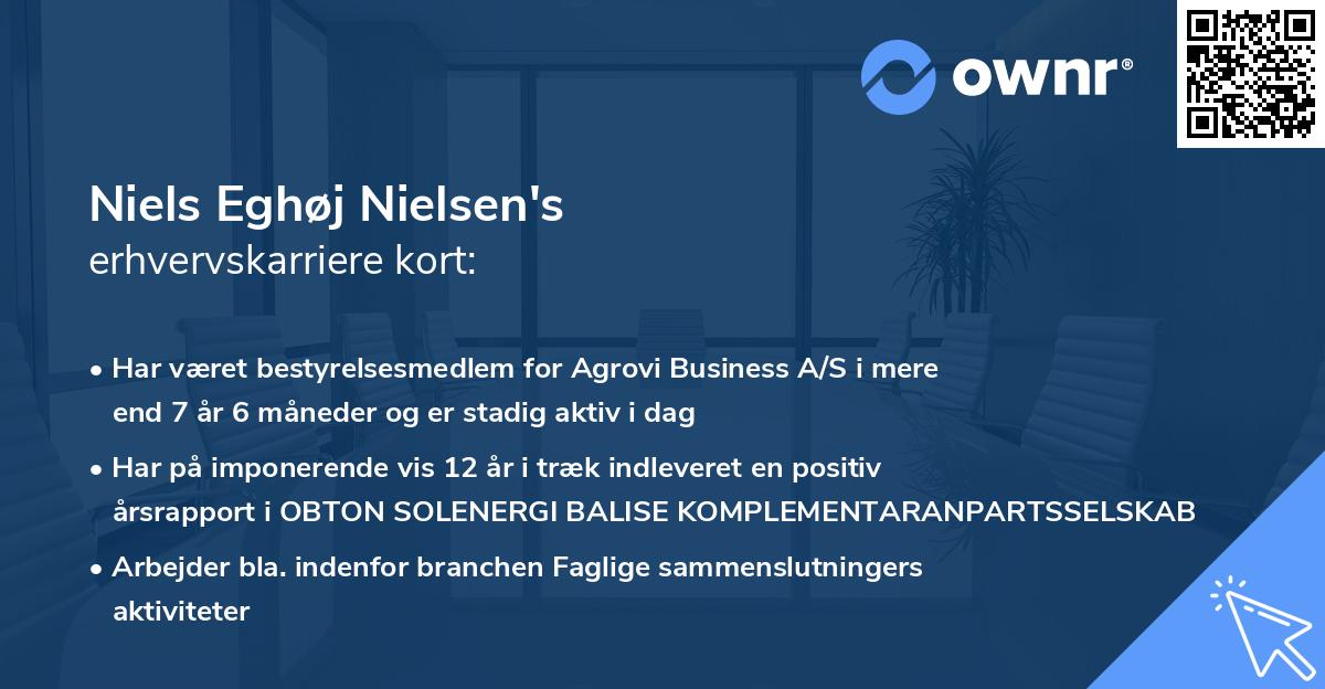 Niels Eghøj Nielsen's erhvervskarriere kort