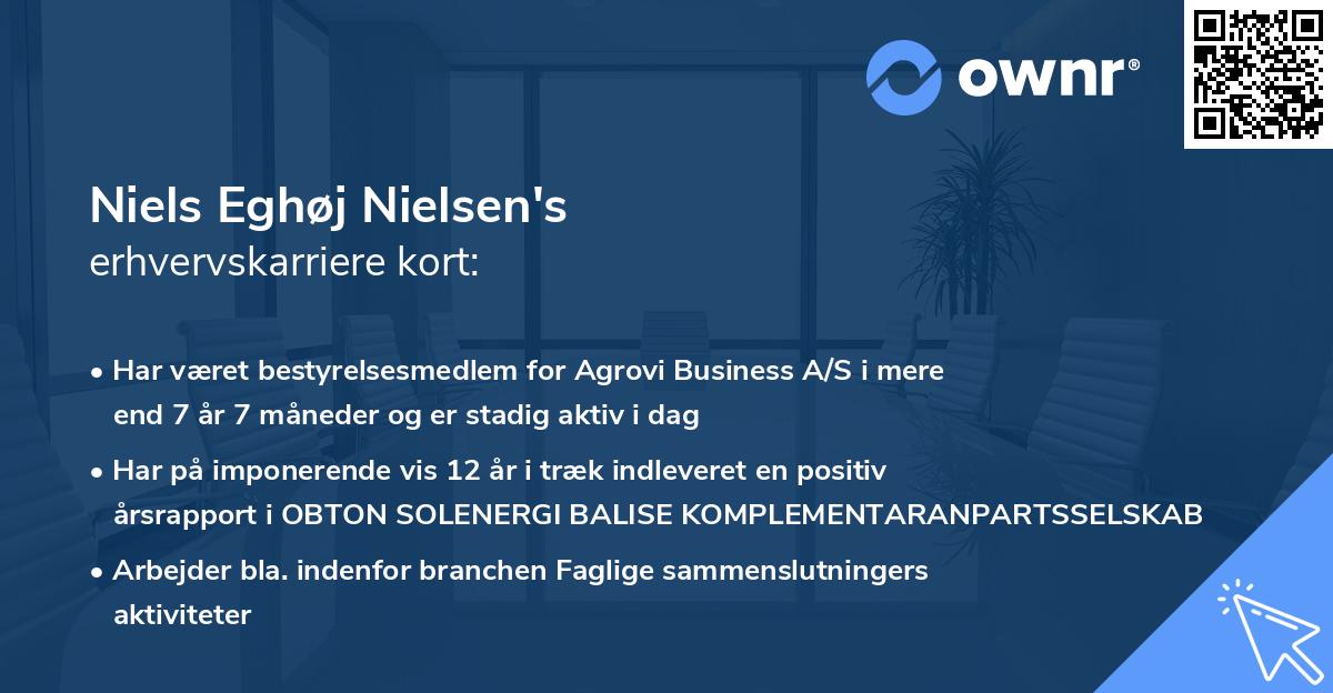 Niels Eghøj Nielsen's erhvervskarriere kort