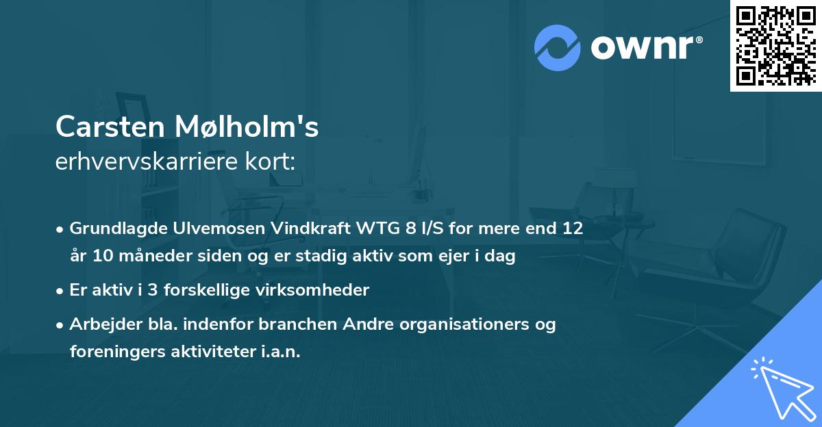 Carsten Mølholm's erhvervskarriere kort