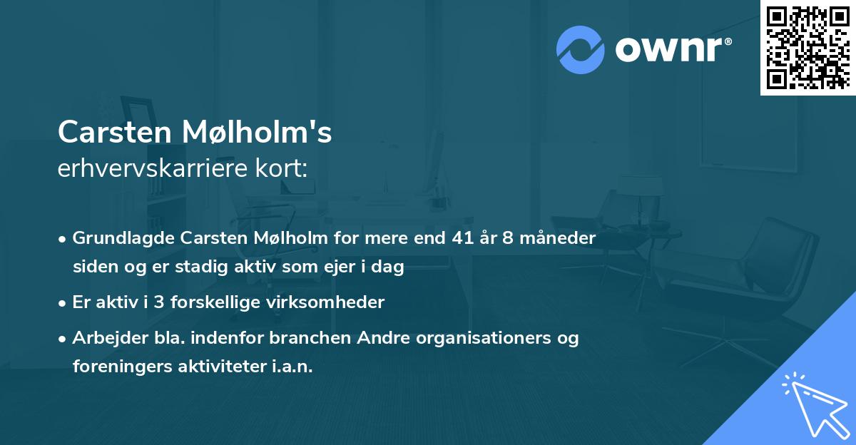 Carsten Mølholm's erhvervskarriere kort