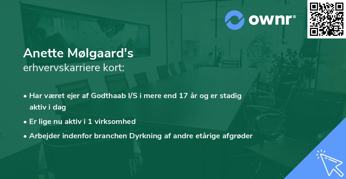 Anette Mølgaard's erhvervskarriere kort