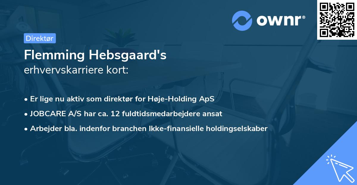 Flemming Hebsgaard's erhvervskarriere kort