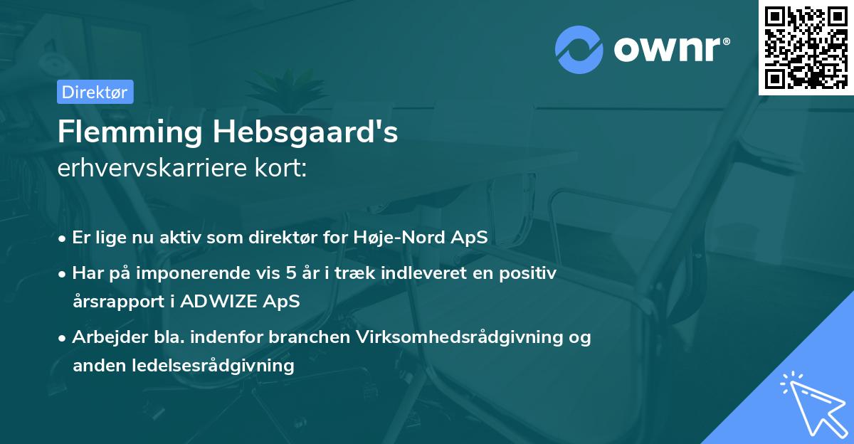 Flemming Hebsgaard's erhvervskarriere kort
