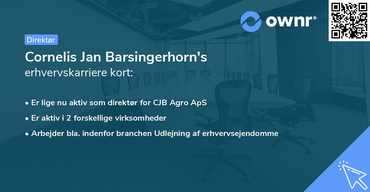 Cornelis Jan Barsingerhorn's erhvervskarriere kort