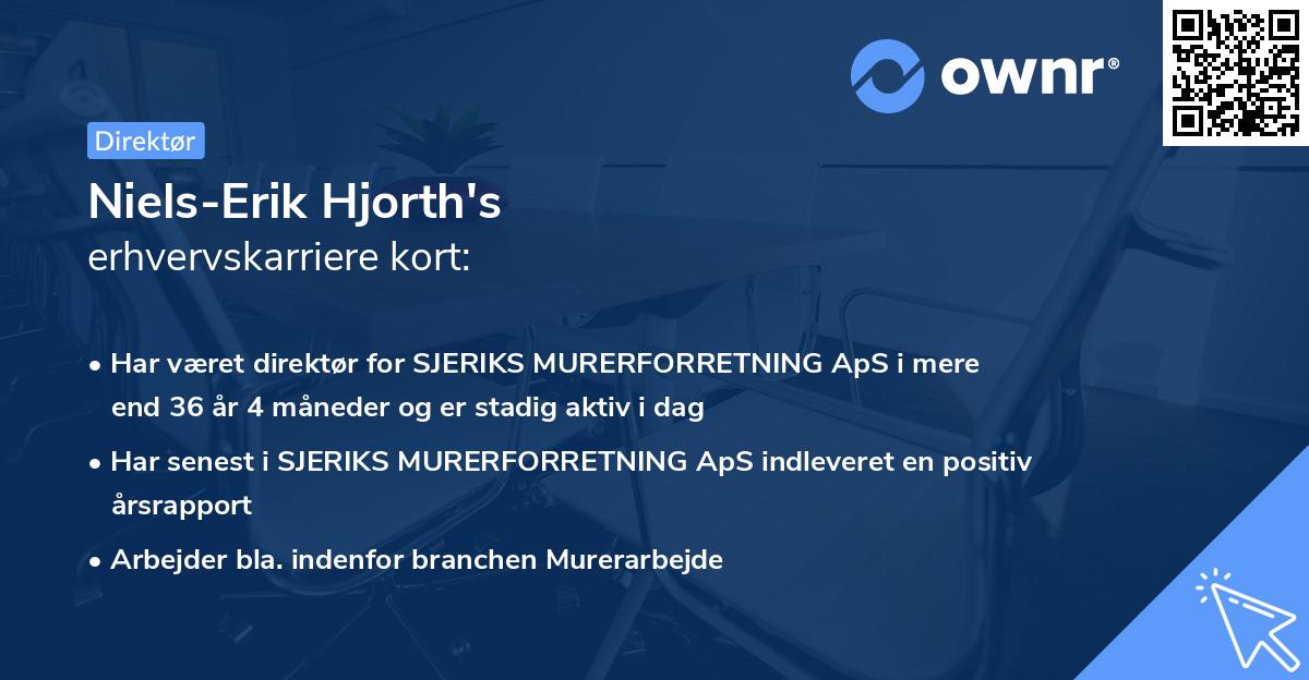 Niels-Erik Hjorth's erhvervskarriere kort