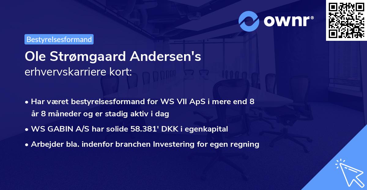 Ole Strømgaard Andersen's erhvervskarriere kort