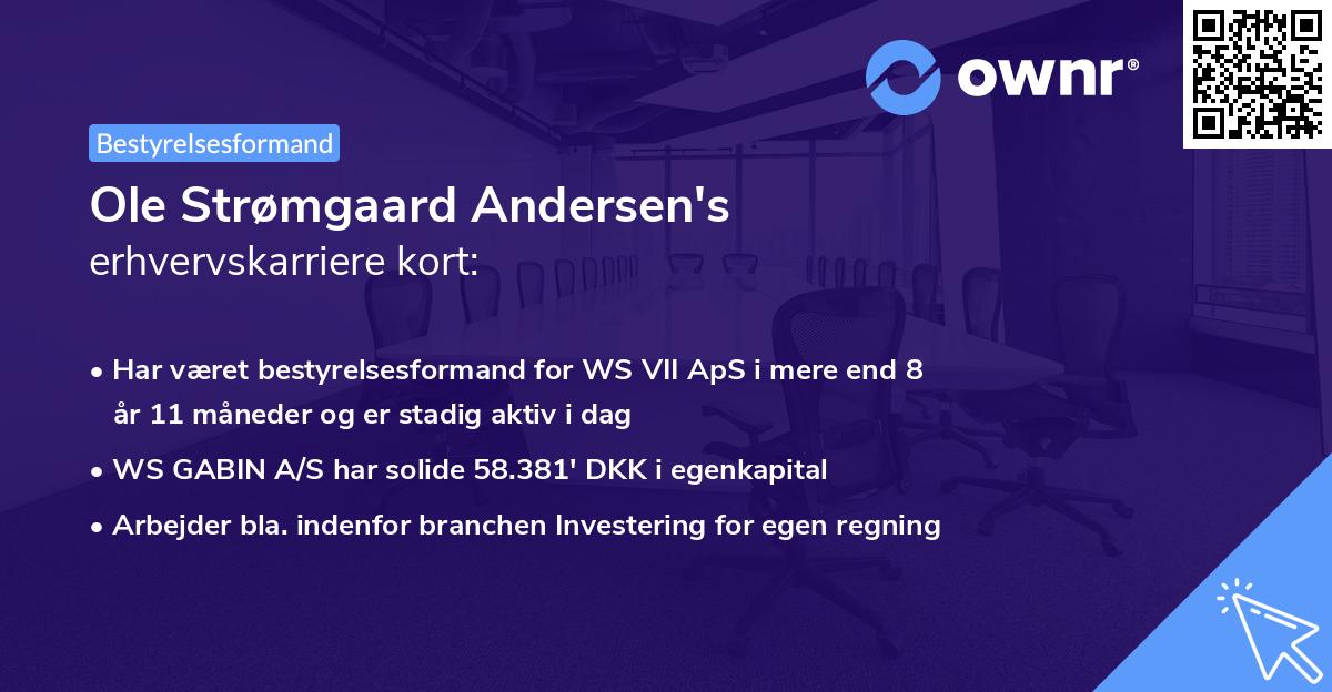 Ole Strømgaard Andersen's erhvervskarriere kort