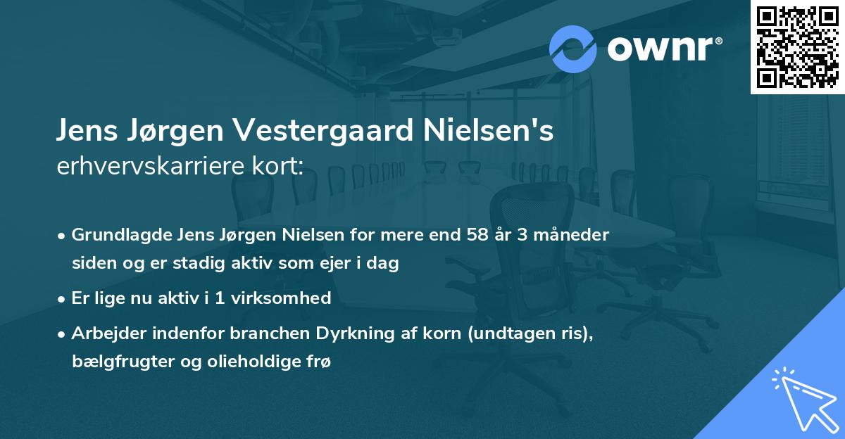 Jens Jørgen Vestergaard Nielsen's erhvervskarriere kort