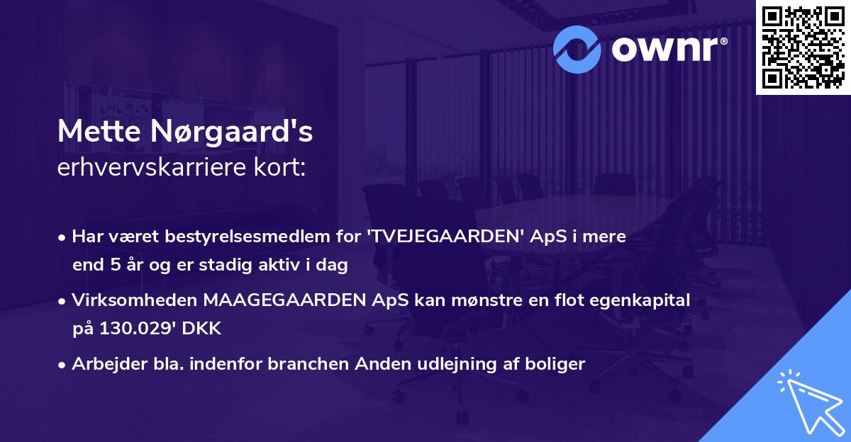 Mette Nørgaard's erhvervskarriere kort
