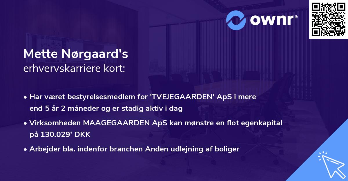 Mette Nørgaard's erhvervskarriere kort
