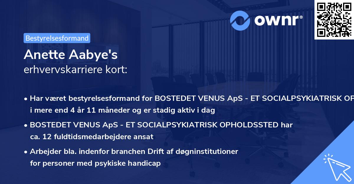 Anette Aabye's erhvervskarriere kort