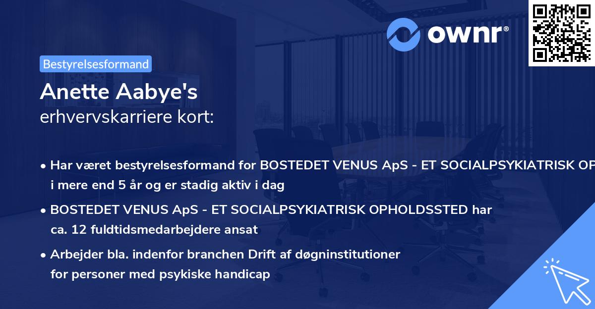 Anette Aabye's erhvervskarriere kort