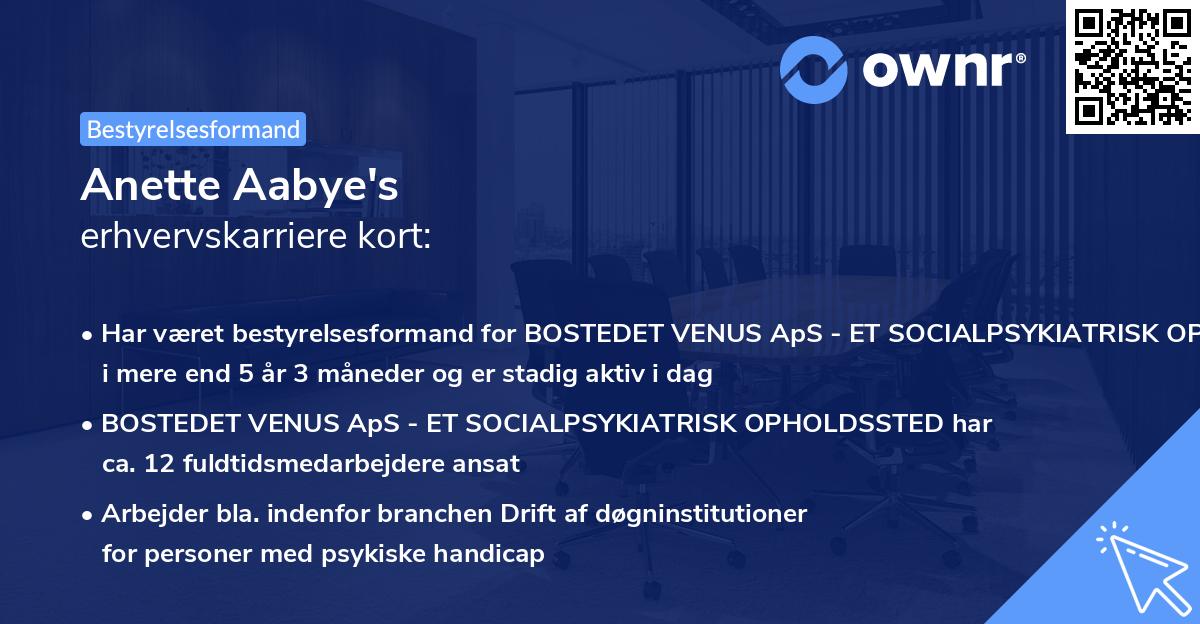 Anette Aabye's erhvervskarriere kort