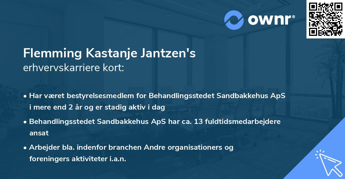 Flemming Kastanje Jantzen's erhvervskarriere kort