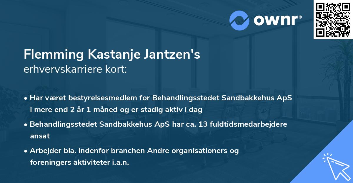 Flemming Kastanje Jantzen's erhvervskarriere kort