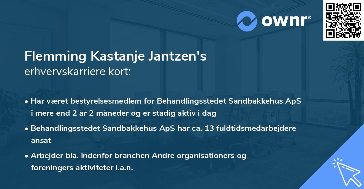 Flemming Kastanje Jantzen's erhvervskarriere kort