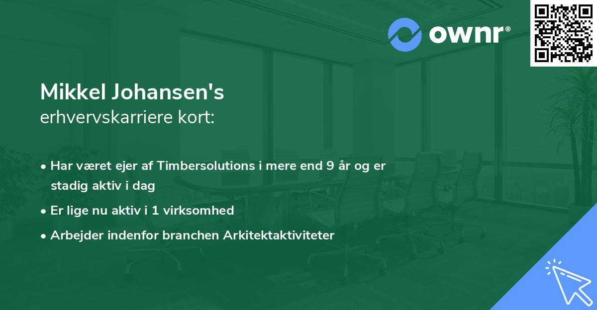 Mikkel Johansen's erhvervskarriere kort