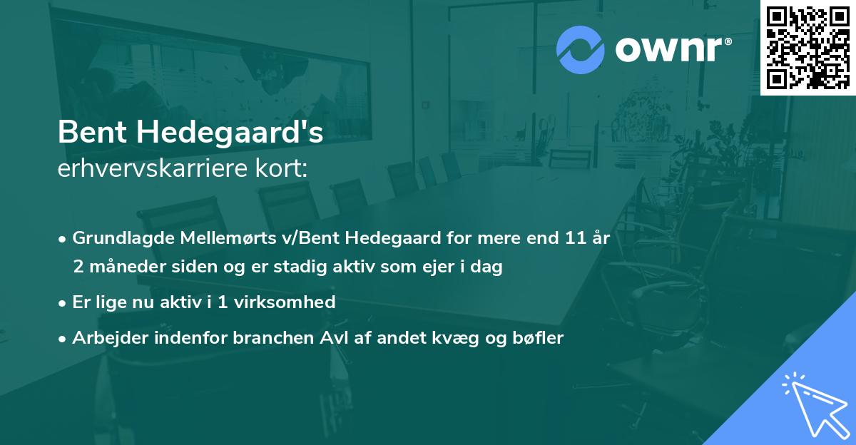 Bent Hedegaard's erhvervskarriere kort
