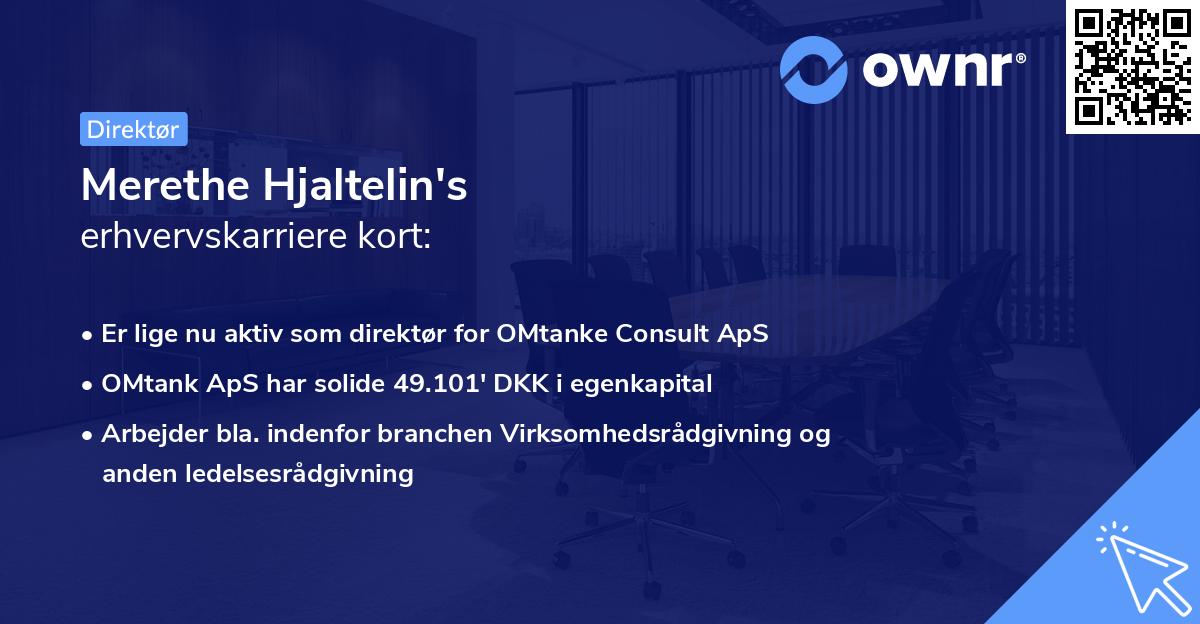 Merethe Hjaltelin's erhvervskarriere kort