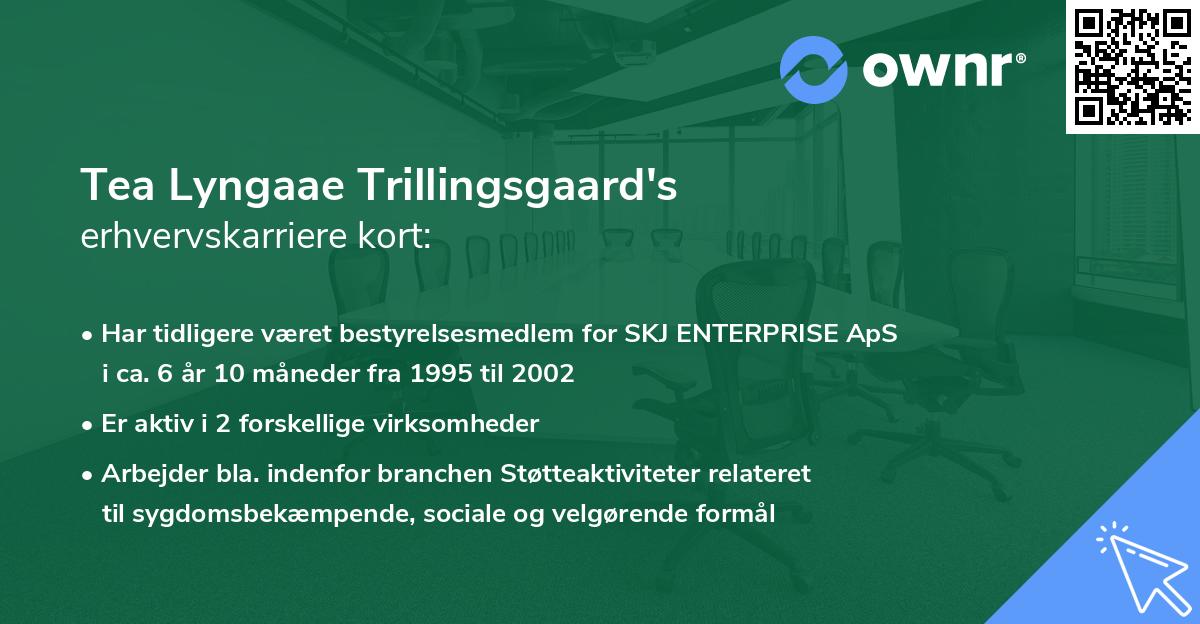 Tea Lyngaae Trillingsgaard's erhvervskarriere kort