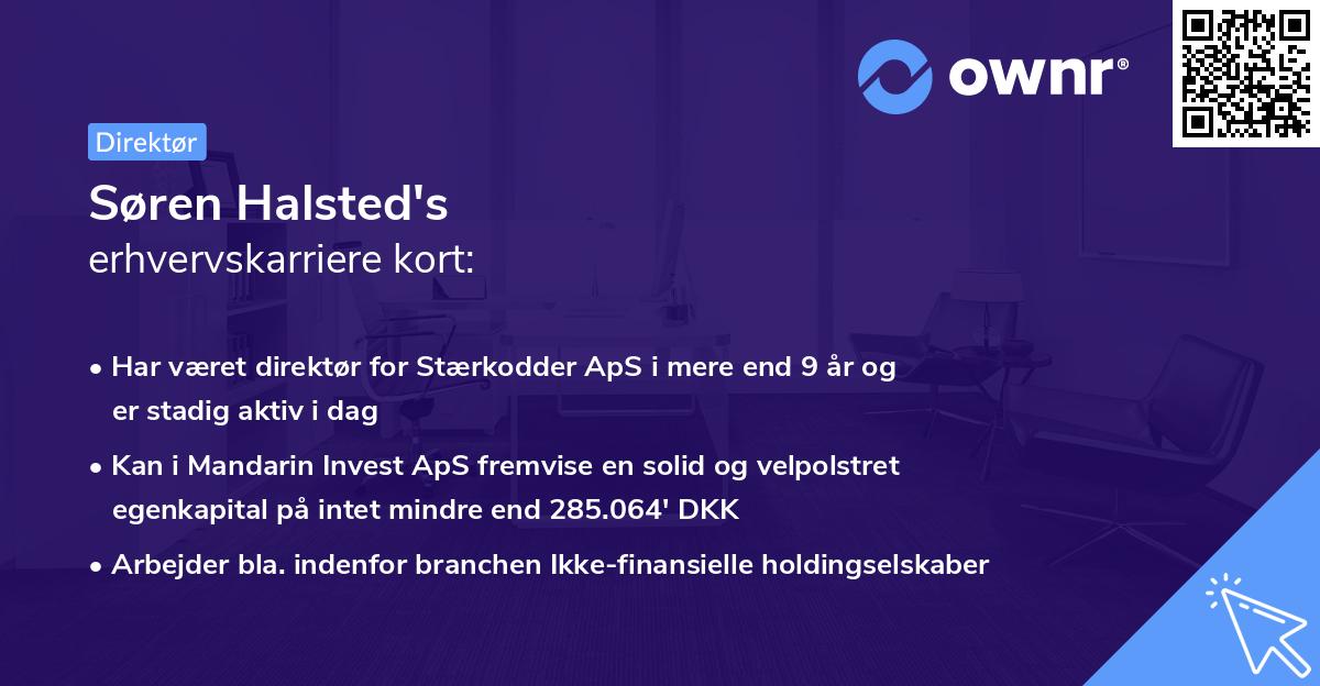 Søren Halsted's erhvervskarriere kort