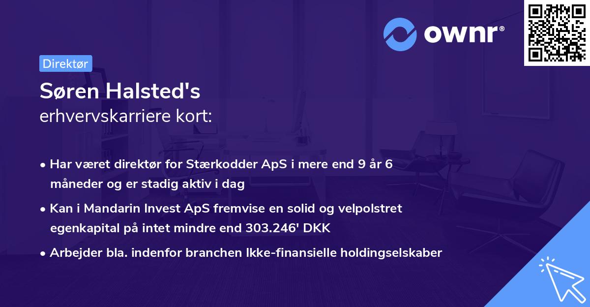 Søren Halsted's erhvervskarriere kort
