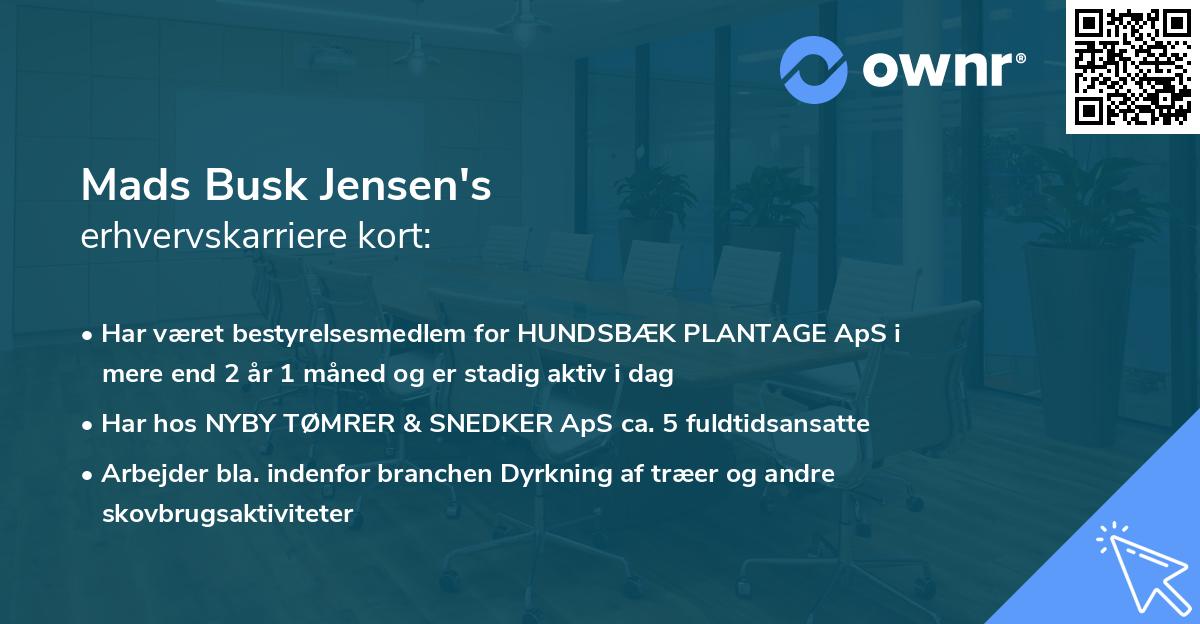 Mads Busk Jensen's erhvervskarriere kort
